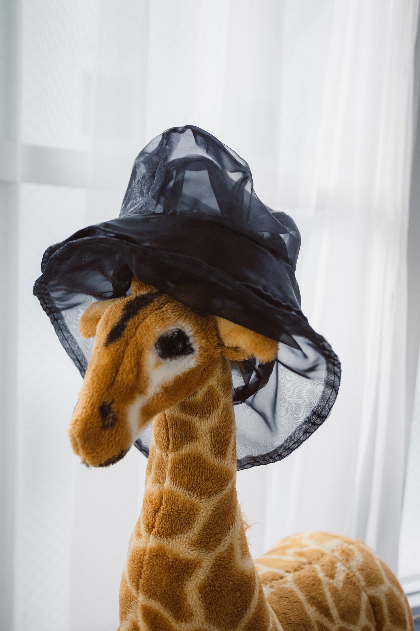 DIGMAJE SEE THROUGH HAT