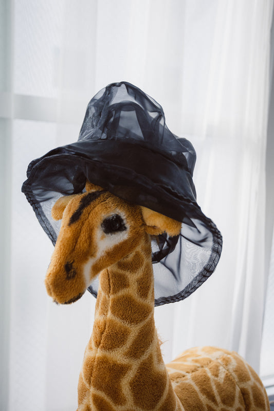 DIGMAJE SEE THROUGH HAT