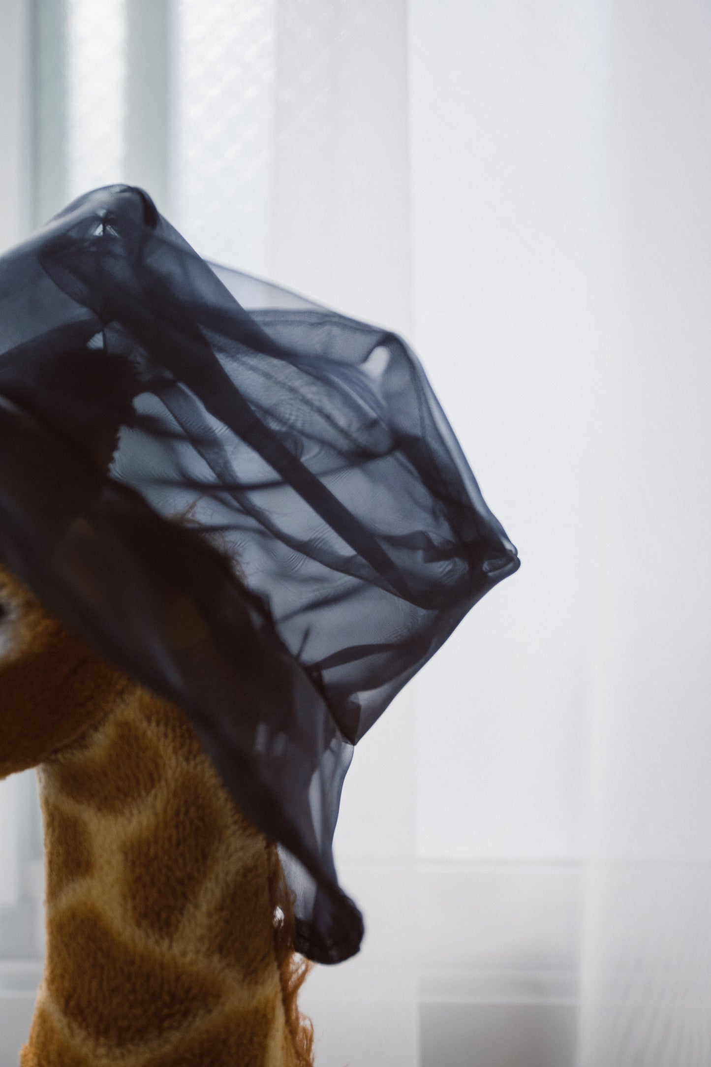 DIGMAJE SEE THROUGH HAT